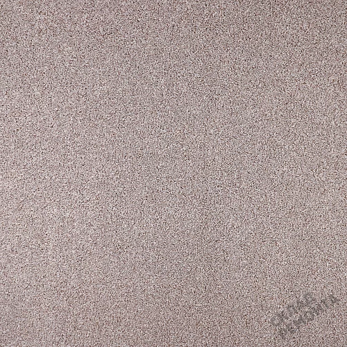 Фото Ковролин Filoteks Discovery 50 бежевый – купить в Ханты-Мансийске: цена, описание, фото. Интернет-магазин 2